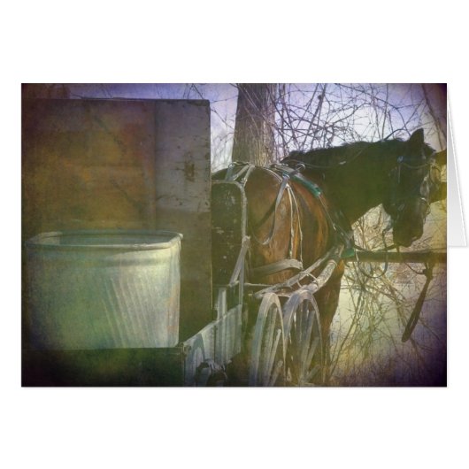 Rückblick (Vorderseite (Horizontal))