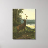 Rückblick auf den Elk Blick auf den See