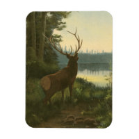 Rückblick auf den Elk Blick auf den See