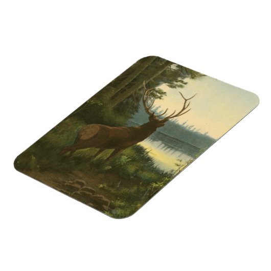 Rückblick auf den Elk Blick auf den See Magnet (Linke Seite)