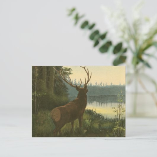 Rückblick auf den Elk Blick auf den See Postkarte (Stehend Vorderseite)