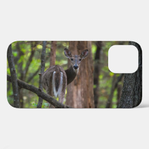 Rückblick auf den Fall "Painterly iPhone" Case-Mate iPhone Hülle