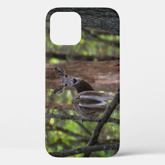 Rückblick auf den Fall "Painterly iPhone" Case-Mate iPhone Hülle (Rückseite)