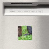 Rückblick auf zwei Dackeln Magnet (In Situ (Geschirrspüler))