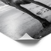 Rückblick Fotodruck (Ecke)