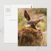 Rückblick Postkarte (Vorne/Hinten)