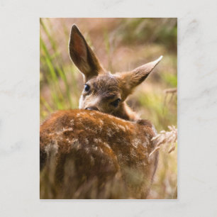Rückblick Postkarte