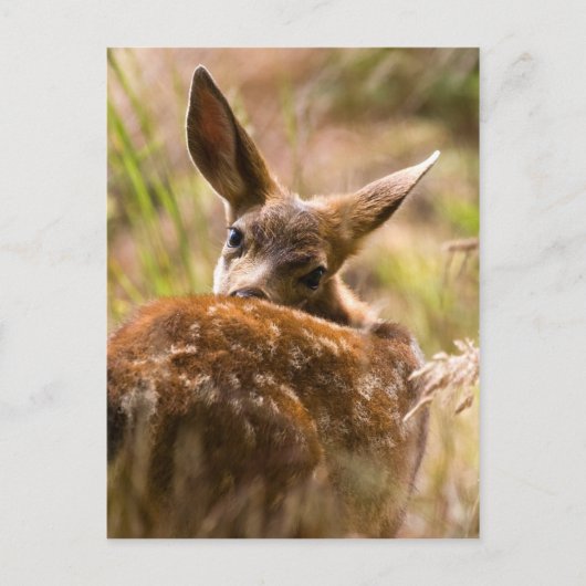 Rückblick Postkarte (Vorderseite)