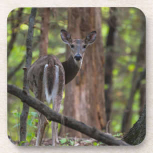 Rückblick schmerzhaft getränkeuntersetzer