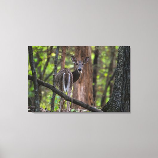 Rückblick schmerzhaft leinwanddruck (Vorderseite)