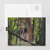 Rückblick schmerzhaft postkarte (Vorne/Hinten)