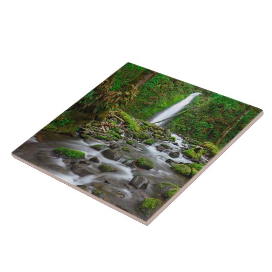 Ruckel Creek Falls, Columbia River Gorge Oregon Fliese (Seite)