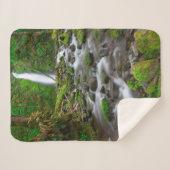 Ruckel Creek Falls, Columbia River Gorge Oregon Sherpadecke (Vorderseite (Horizontal))