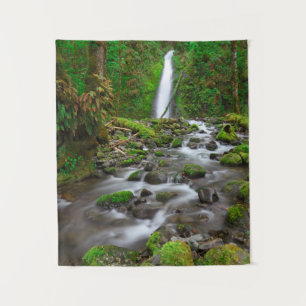 Ruckel Creek Falls, Columbia River Gorge Oregon Wandteppich