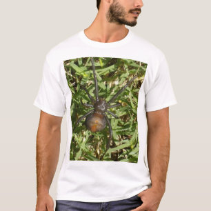 Rücken der Spinne auf grünem Gras, T-Shirt