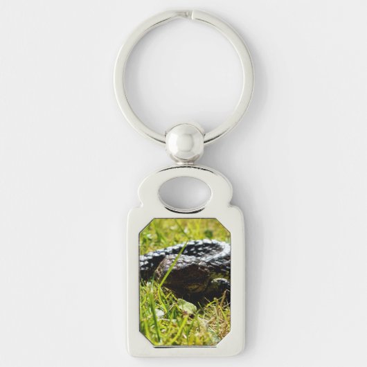Rückenechse auf Gras, Metallkeyring Schlüsselanhänger (Vorderseite)