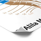 Rückenmark und dermatome Karte Poster (Ecke)