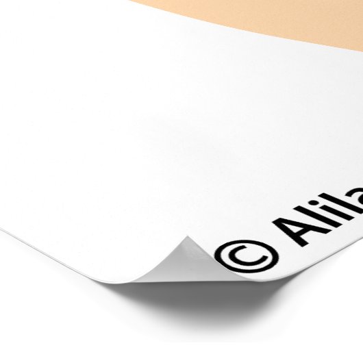 Rückenmarkanatomie, gezeichnet. poster (Ecke)