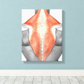 Rückenmuskeln und Nacken Leinwanddruck (Insitu (Holzboden))