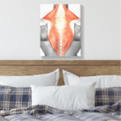Rückenmuskeln und Nacken Leinwanddruck (Insitu (Schlafzimmer))