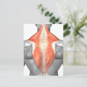 Rückenmuskeln und Nacken Postkarte (Stehend Vorderseite)