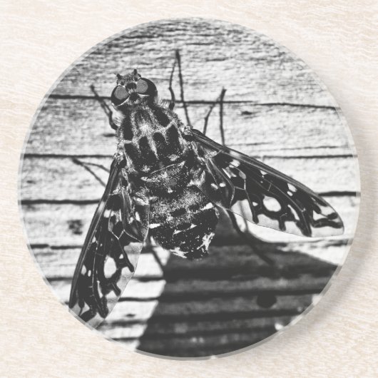 Rückflug Getränkeuntersetzer (Vorne)