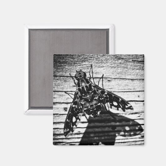 Rückflug Magnet (Vorderseite/Rückseite)