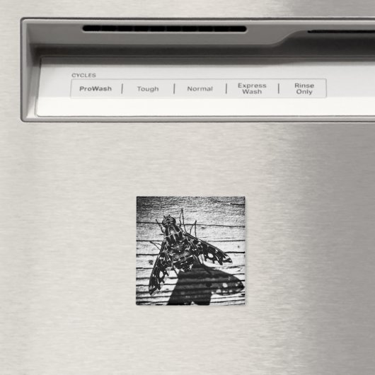 Rückflug Magnet (In Situ (Geschirrspüler))