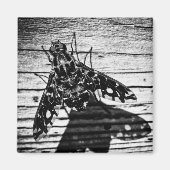 Rückflug Magnet (Vorne)