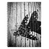 Rückflug Notizblock (Vorderseite)