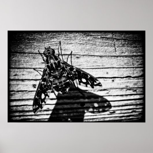 Rückflug Poster (Vorne)