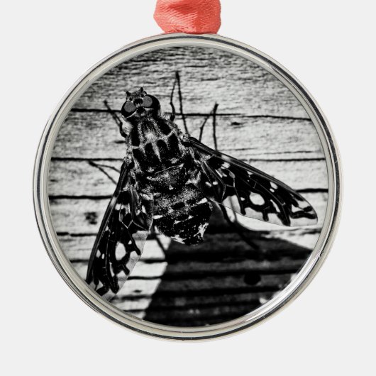 Rückflug Silbernes Ornament (Vorne)