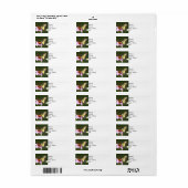 Rückgabe der Adresse Etikett Tiger Frack Butterfly (Vorne)