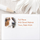Rückgabeadresse für Basset-Hound (Insitu)