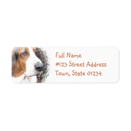 Rückgabeadresse für Basset-Hound (Vorne)