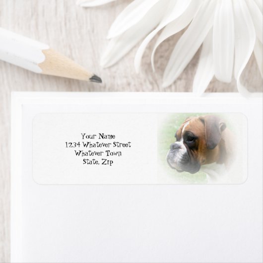 Rückgabeadresse für Boxer Hund (Insitu)