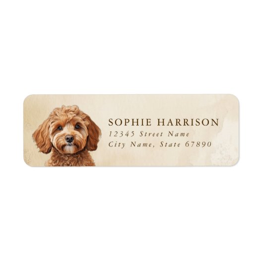Rückgabeadresse für Cavoodle (Vorne)