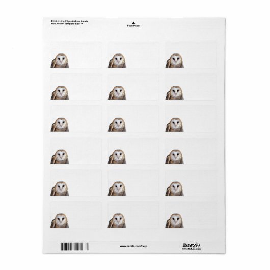 Rückgabeadresse für das Foto im Stall Adressaufkleber (Vorne)