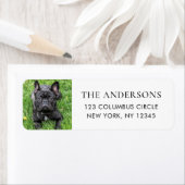 Rückgabeadresse für einfaches Foto (Insitu)