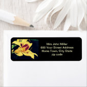 Rückgabeadresse für gelbe Lippen (Insitu)