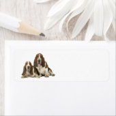 Rückgabeadresse für Liebe-Basset-Hunden (Insitu)