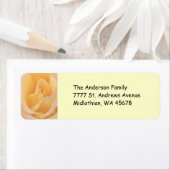 Rückgabeadresse für Peach-Rose (Insitu)