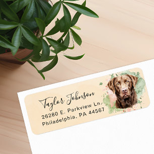 Rückgabeadresse für Schokolade-Labrador