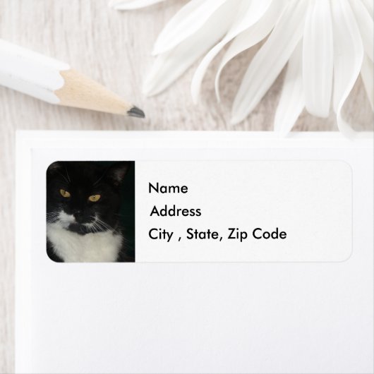 Rückgabeadresse für Schwarz und Weiß (Insitu)