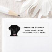 Rückgabeadresse für schwarzes Labor (Insitu)