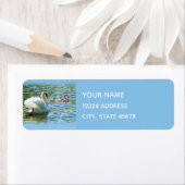 Rückgabeadresse für Swan und Cygnets (Insitu)