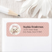 Rückgabeadresse für weißes Poodle (Insitu)