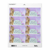 Rückgabezeichen für die Adresse Rabbit Blue Strip (Vorne)