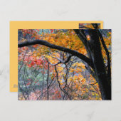 Rückgang der Liebe/Herbstfarben Postkarte (Vorne/Hinten)