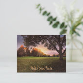 Rückgang der Liebe mit Iowa Postkarte (Stehend Vorderseite)